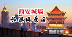 一大鸡巴一小穴穴啪啪啪天美一中国陕西-西安城墙旅游风景区