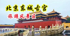 男人插女人免费视频游泳池中国北京-东城古宫旅游风景区
